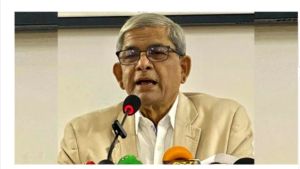 সরকার নির্মম খেলায় মেতে উঠেছে : মির্জা ফখরুল