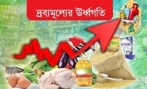 মুদ্রাস্ফীতিতে না কা ল নিউইয়র্কের জনজীবন, দ্রব্যমূল্যের দাম আরও বাড়ার শ ঙ্কা