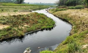 মাইক্রোপ্লাস্টিক সুতাং নদীতে প্রাণের অস্তিত্ব হারিয়ে গেছে