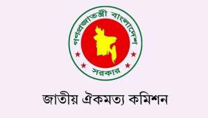 গণভোট প্রশ্নে বিভক্তি