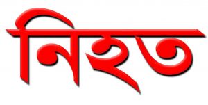 স্বাধীনতা রক্ষায় নয়, উদযাপনের সময়টিতে ২০ জন নিহত