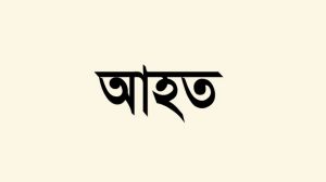 নিউইয়র্কে স্বাধীনতা দিবসে অনাকাঙ্ক্ষিত ঘটনায় বাংলাদেশি ২ জন আহত