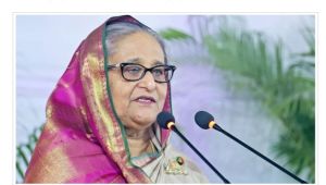 অর্থনীতির মূল চালিকাশক্তি প্রবাসীদের পাঠানো রেমিট্যান্স : প্রধানমন্ত্রী